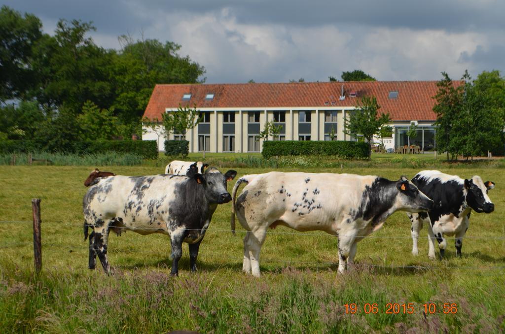 Cleythil Hotel Maldegem Zewnętrze zdjęcie